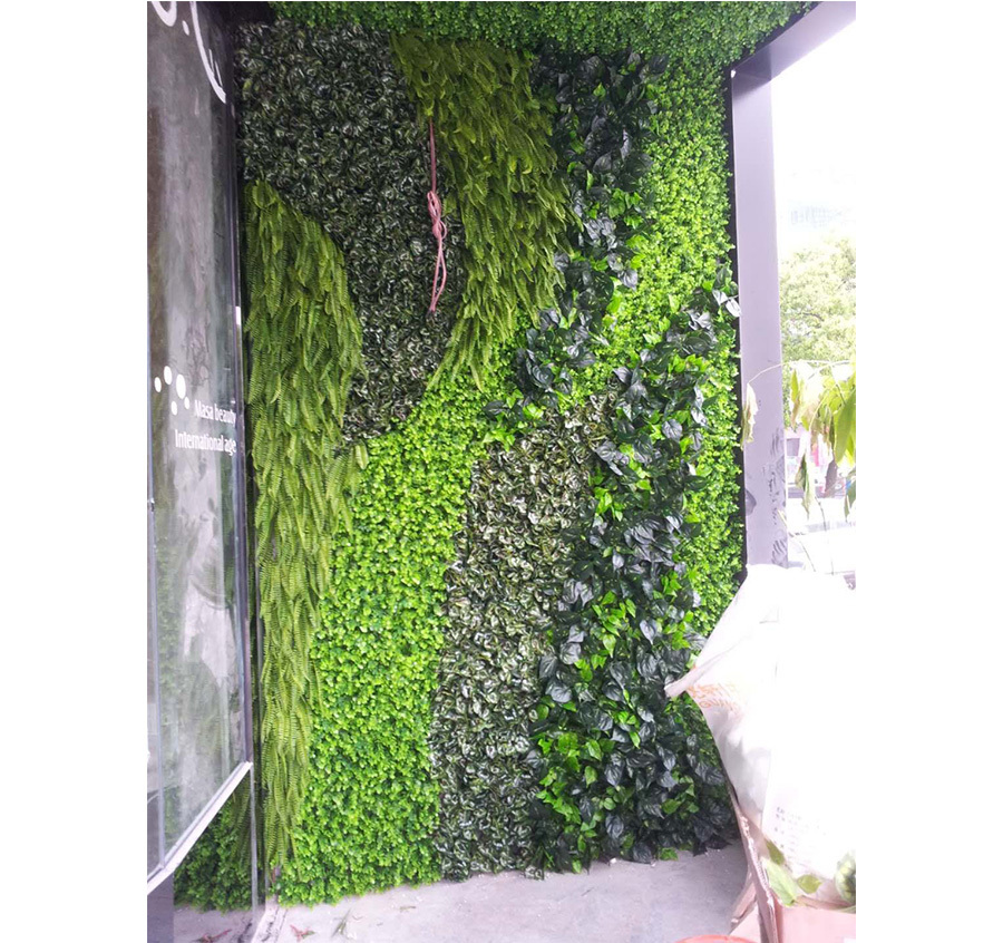 植物墙-1-1.jpg