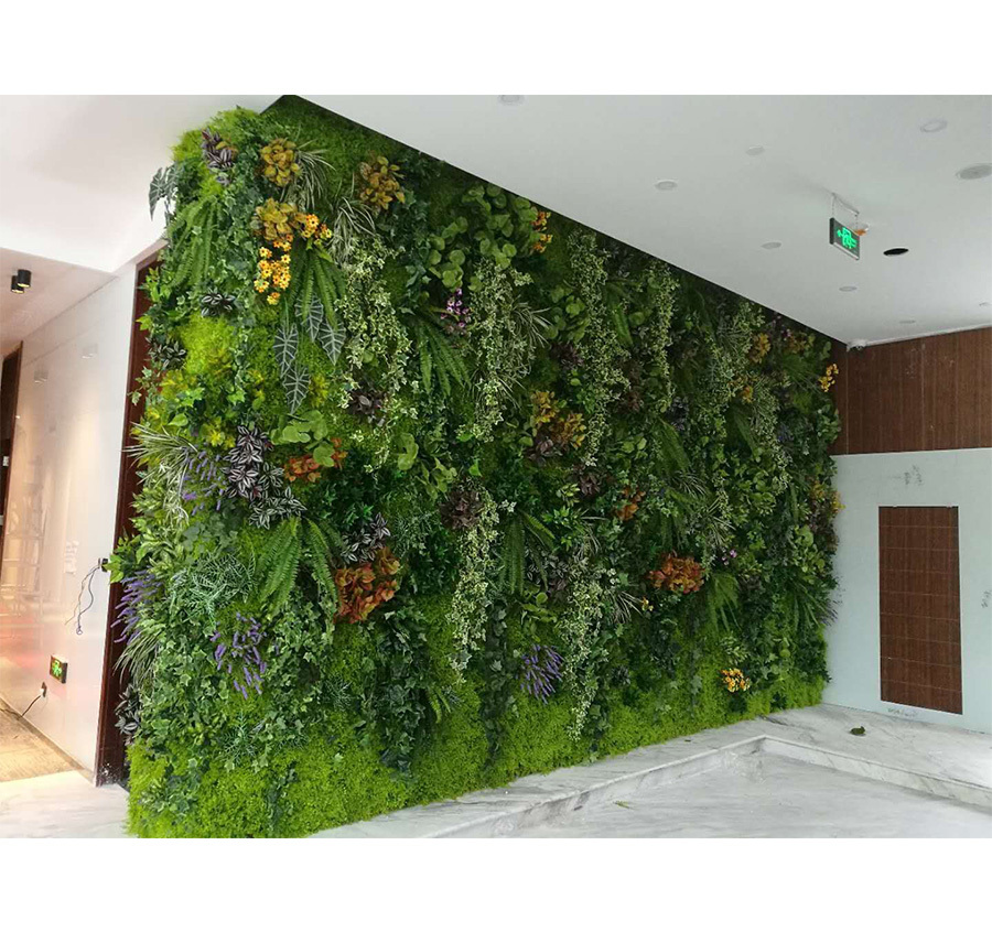 植物墙-3-3.jpg